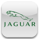Jaguar-125x125
